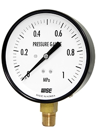 Đồng hồ khí WISE P110
